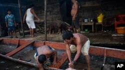 Unos hombres suben un cerdo a un barco en un matadero en el barrio Belén de Iquitos, Perú, el 25 de mayo de 2024.