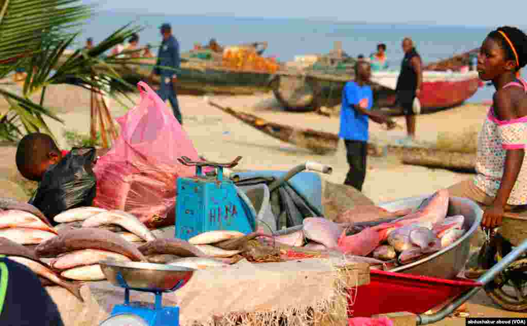 Watot kwenye soko kuu la samaki mjini Bata Equatorial Guinea