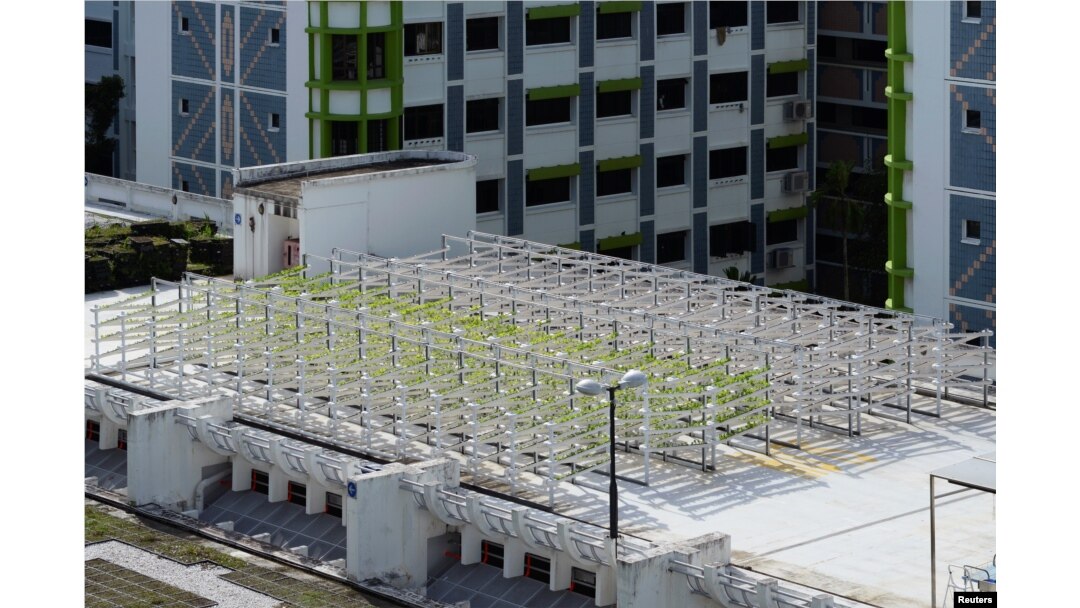 An aerial view shows Citiponics' urban farm located on the rooftop of a multi-story garage in a public housing estate in western Singapore, April 17, 2018.