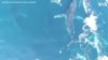 16x9 Image