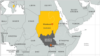 South Sudan Rebels Surrender in Amnesty Deal