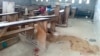 New Report Blames Separatists in Cameroon for Gross Human Rights Violations 