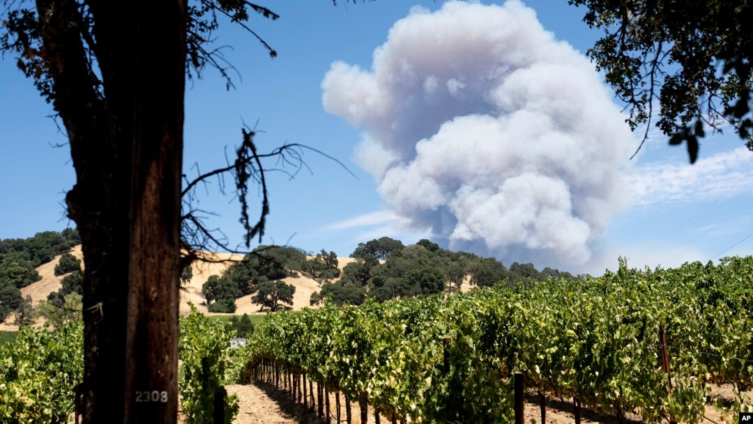 Una columna de humo del llamado Incendio del Río (River Fire) se aprecia detrás de un viñedo en Hopland, California, el lunes 30 de junio de 2018. Las evacuaciones por incendios en el norte del estado aumentaron a 15.000 al iniciar la semana.