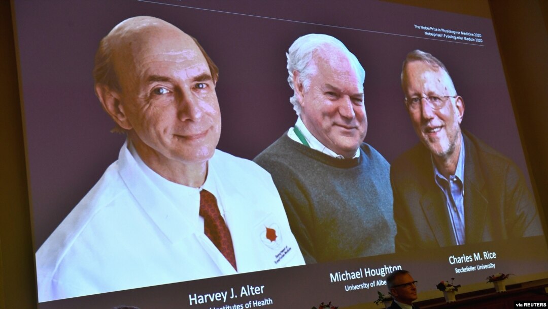 Harvey J. Alter, Michael Houghton and Charles M. Rice, are seen on a screen as they are announced as the winners of the 2020 Nobel Prize in Physiology or Medicine, in Stockholm, Oct. 5, 2020. (C. Bresciani/TT News Agency/via Reuters)