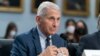 US House Republicans Launch Probe Into COVID-19 Origins With Letter to Fauci