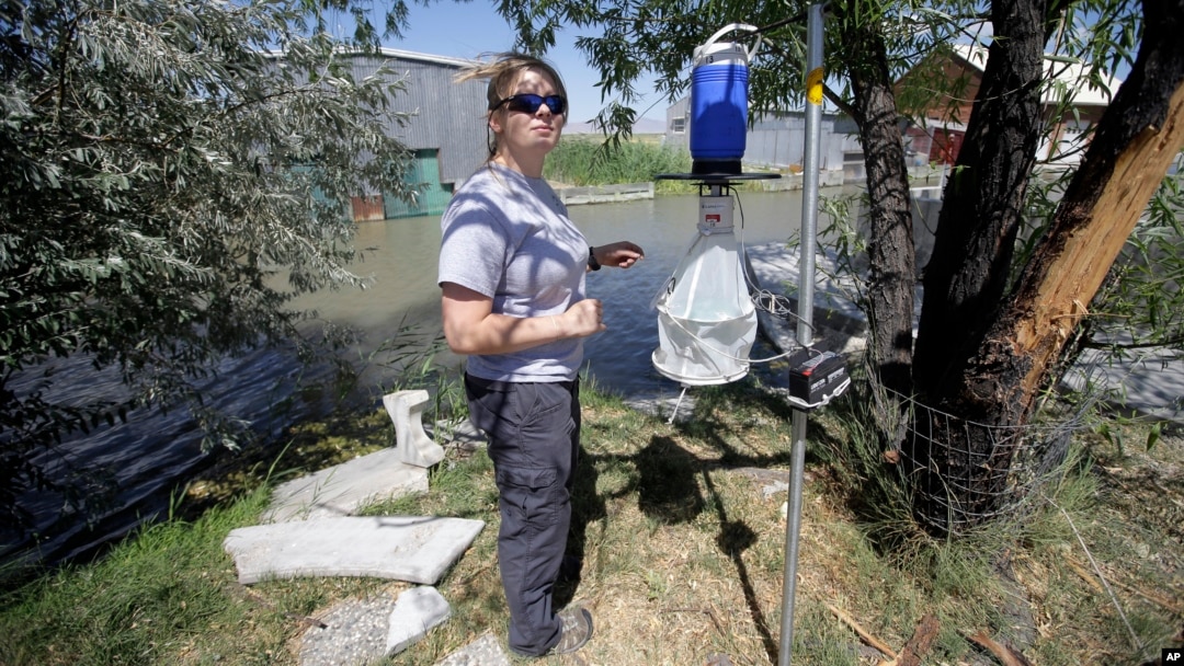 Los esfuerzos contra el Zika incluirán la fumigación con pesticidas, colocación de trampas para mosquitos y la eliminación de contenedores con agua.