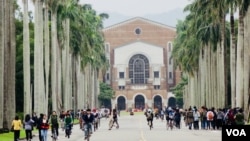 圖為台灣大學校園。(2017年11月23日)