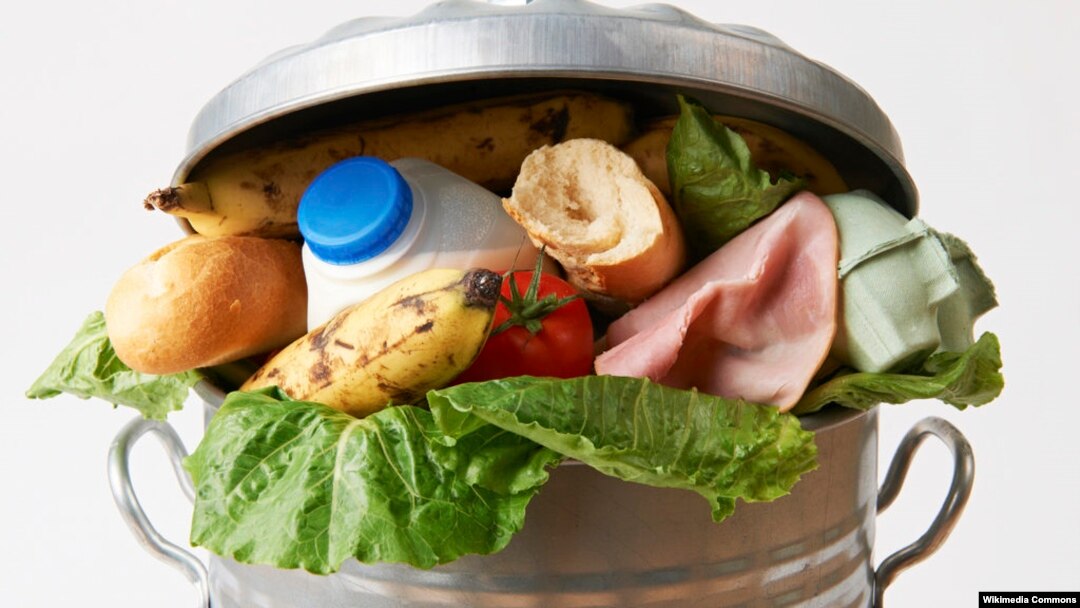 打折促銷應用程式説明減少食物浪費