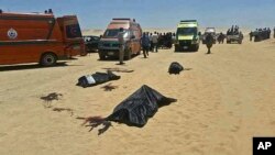 This image released by the Minya governorate media office shows bodies of victims killed when gunmen stormed a bus in Minya, Egypt, May 26, 2017. 