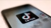 美参院情报领袖要求调查TikTok用户数据外泄 