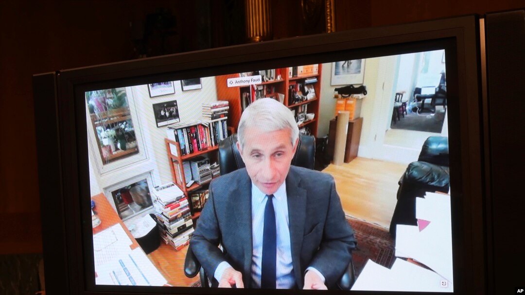 Dr. Anthony Fauci, director of the National Institute of Allergy and Infectious Diseases speaks remotely during a virtual Senate Committee for Health, Education, Labor, and Pensions hearing, Tuesday.