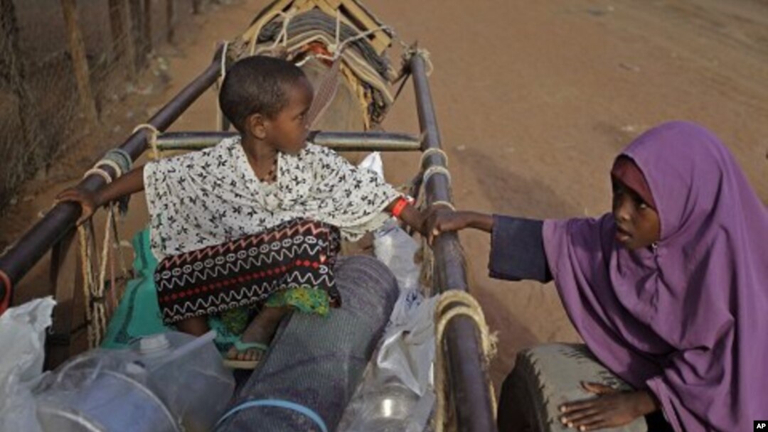 A child sit on a donkey cart after they were handed food at a World Food Program compound in a displacement camp in Dadaab, Kenya. (file photo)