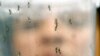Advocates Criticize Advice to Delay Pregnancy Due to Zika