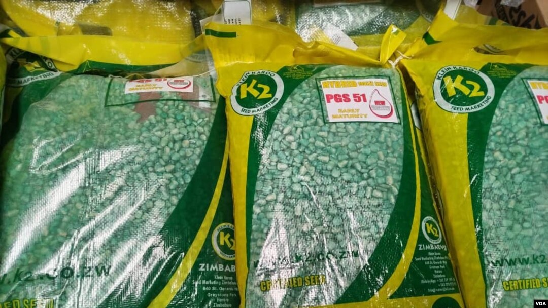 Iyasilela inhlanyelo eZimbabwe