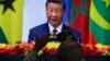 中国对非洲实施零关税政策，分析人士对其影响力表示怀疑
